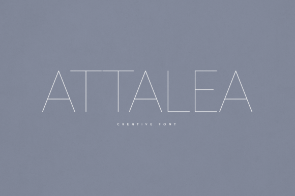 Attalea Font: A Modern Typeface for Editorial Elegance