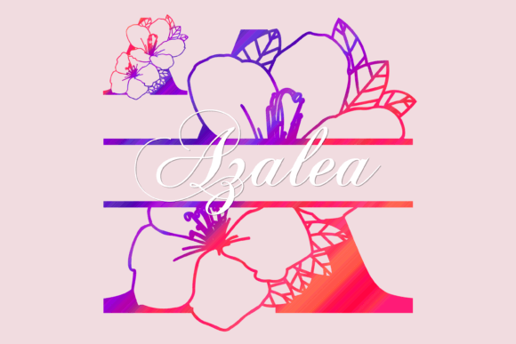 Azalea Split: A Decorative Typeface That Elevates Your Brand