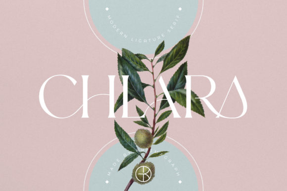 Chlara: The Serif Typeface That Elevates Your Campaigns