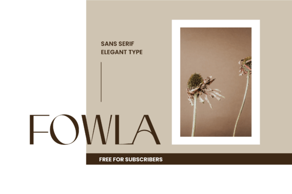 Fowla Font: A Stylish Choice for Modern Web Design