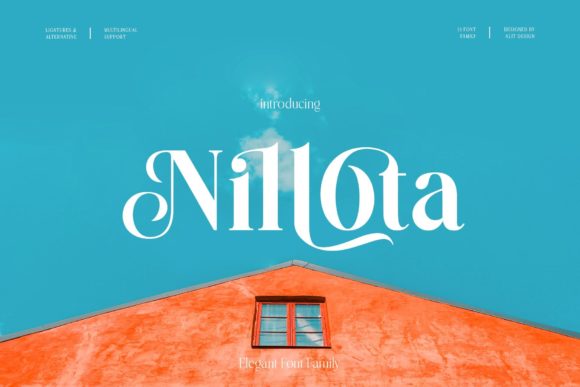 Nilota: A Stylish Typeface for Stronger Web Design