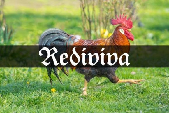 Rediviva Font: A Typeface for Editorial Excellence