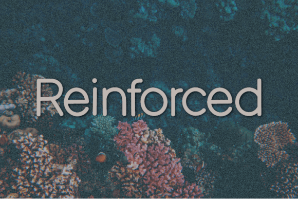 Reinforced Typeface: A Fresh Take on Elegant Sans Serif Typography