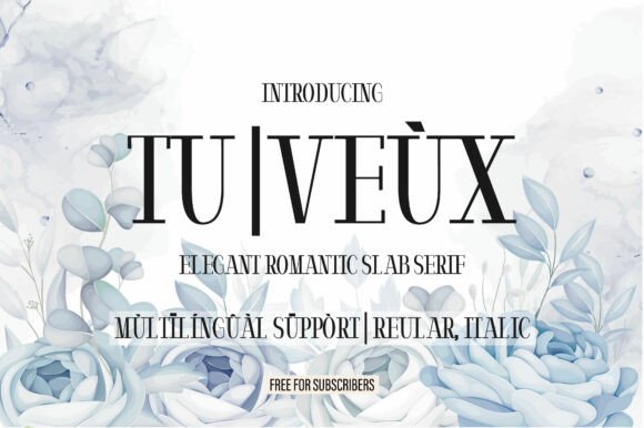 Tu Veùx: A Romantic Slab Serif Typeface for Makers and Sellers
