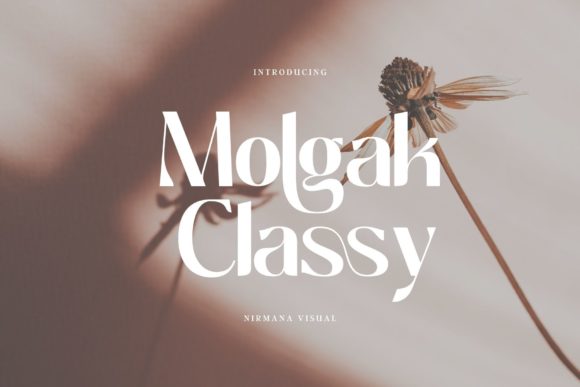Why I Chose Molgak Classy for My Next Web Design Project
