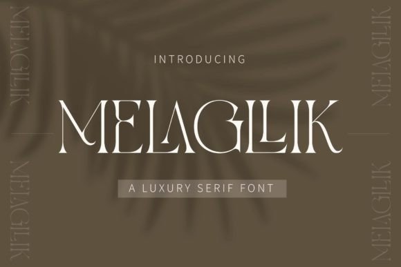 Why Melagllik is a Premium Font for Sophisticated Web Design